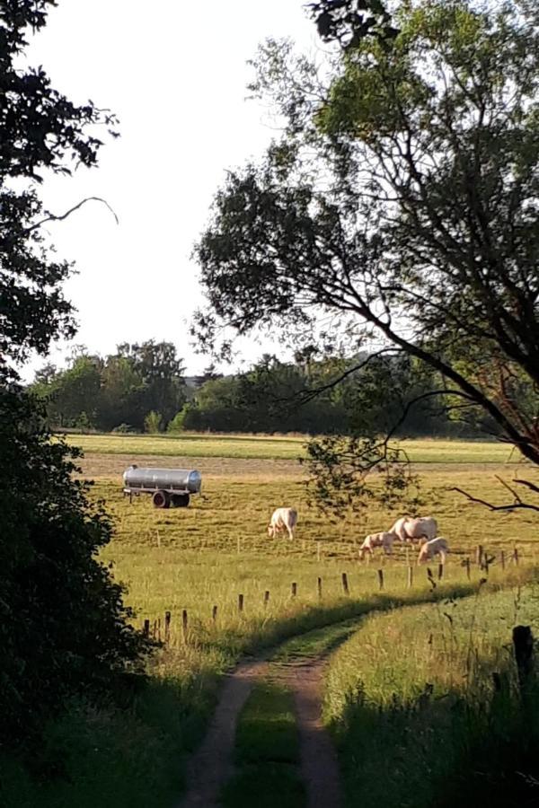 Fewo Hof Elbbachtal Westerburg  Eksteriør bilde
