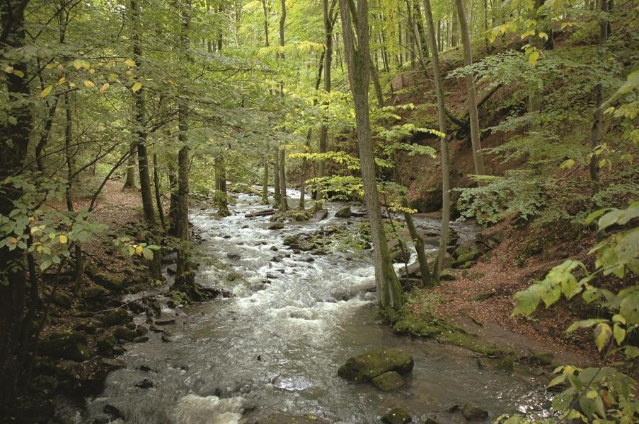 Fewo Hof Elbbachtal Westerburg  Eksteriør bilde