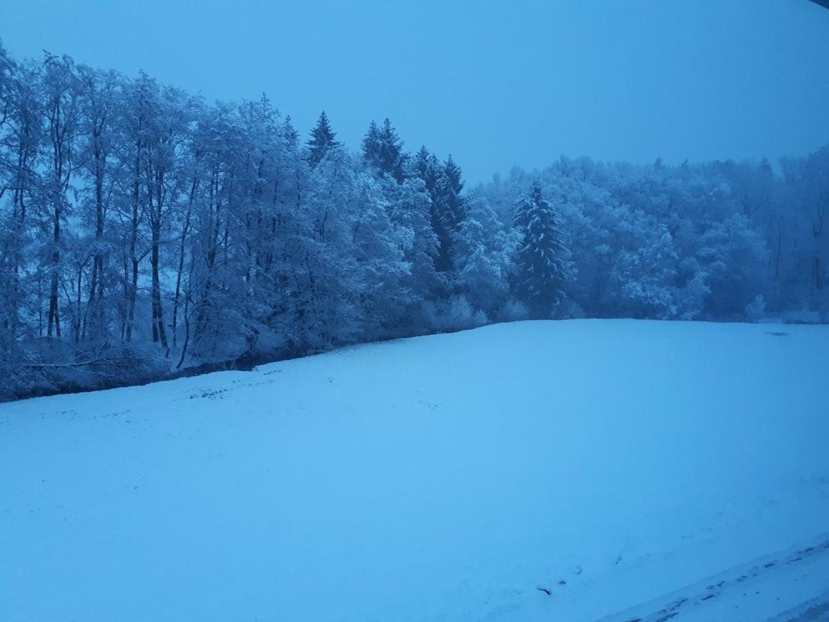Fewo Hof Elbbachtal Westerburg  Eksteriør bilde