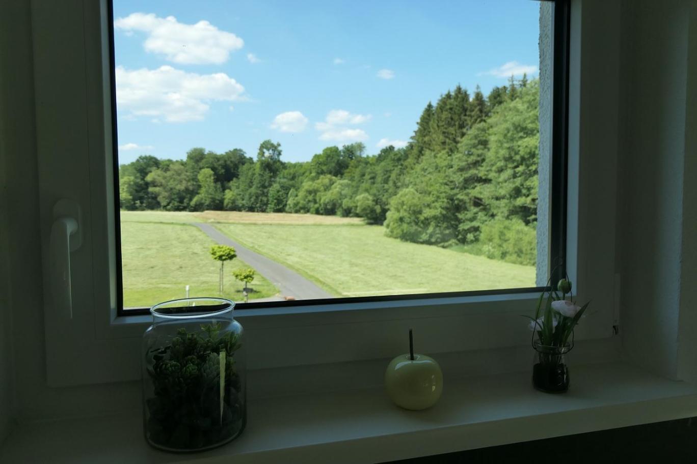 Fewo Hof Elbbachtal Westerburg  Rom bilde